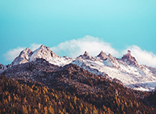 开云官方直播：开启你的专属线上互动新纪元